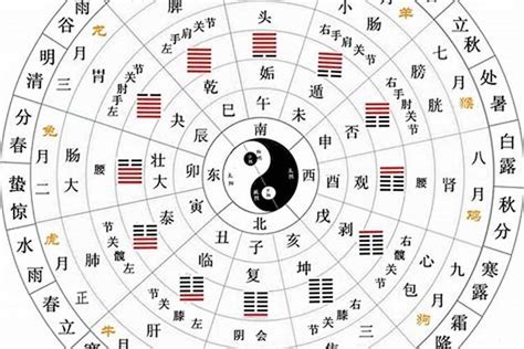 十天干 查詢|天幹地支